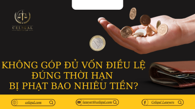 HÀNH VI KHÔNG GÓP ĐỦ VỐN ĐIỀU LỆ ĐÚNG THỜI HẠN BỊ PHẠT BAO NHIÊU TIỀN?