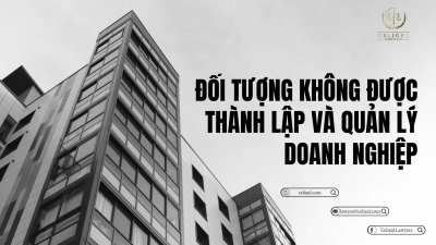 ĐỐI TƯỢNG KHÔNG ĐƯỢC THÀNH LẬP VÀ QUẢN LÝ DOANH NGHIỆP